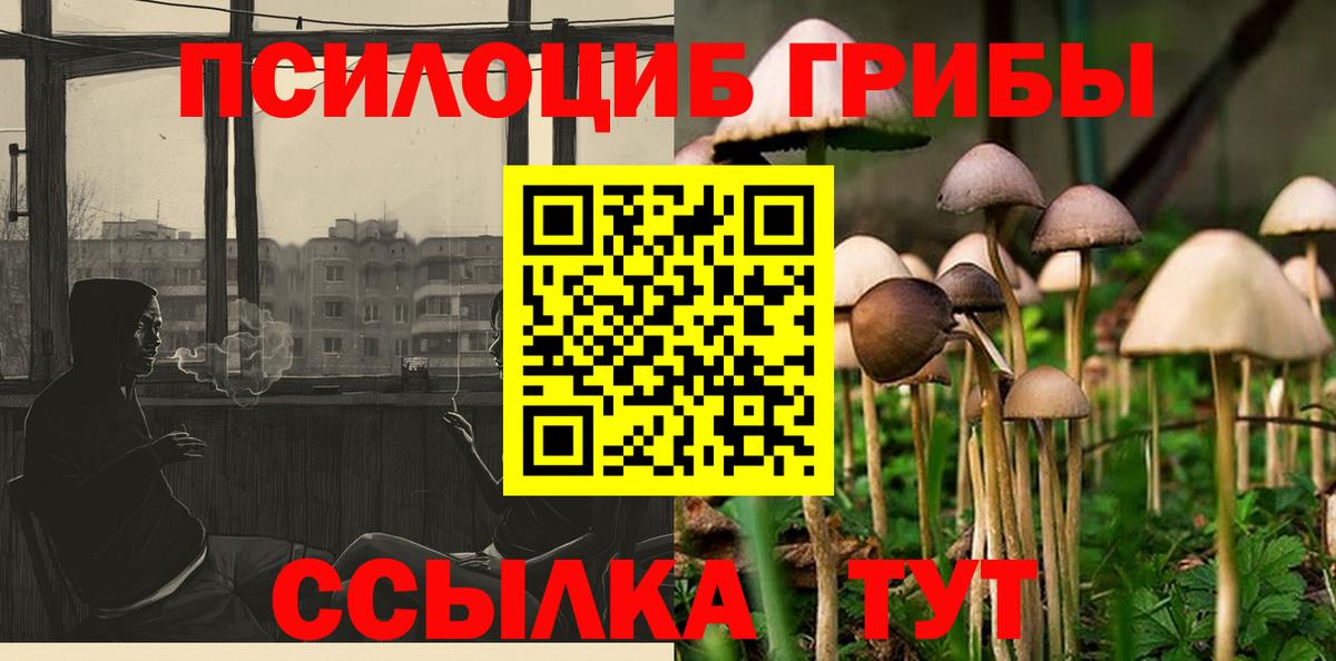 Псилоцибиновые грибы Psilocybine cubensis Чернушка