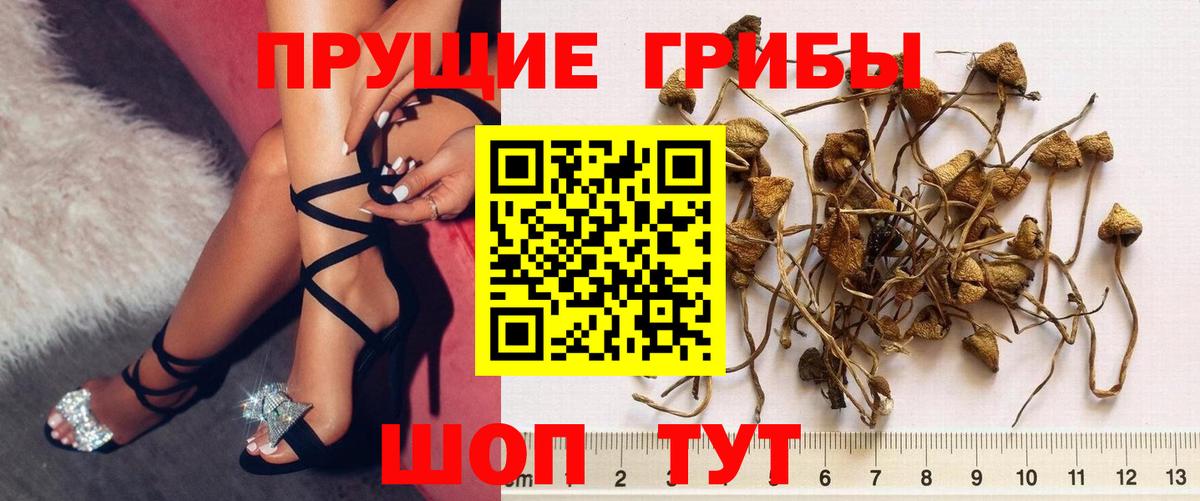 Псилоцибиновые грибы Magic Shrooms  Вход с VPN  Чернушка 