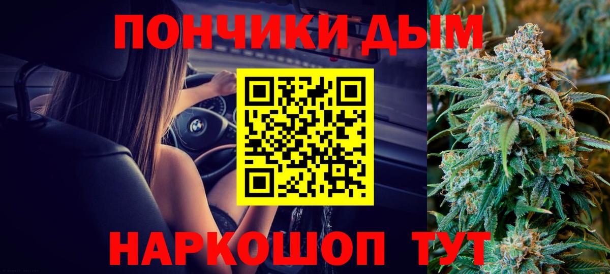 Конопля Чернушка