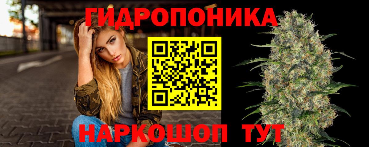 Каннабис сатива  Вход с VPN  Бошки Шишки MAZAR  Конопля MAZAR  Бошки марихуана LSD WEED  Чернушка 
